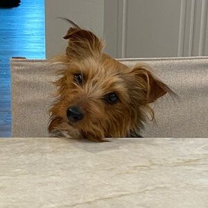 Meet your Posher, Margaret